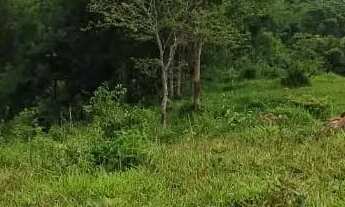 Imagem 3: Chácara Cezarina