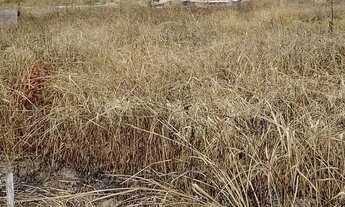 Imagem 2: Lote a Venda Edeia GO Solar Park Ipanema R$ 55.000,00