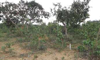 Imagem 6: 1.000 metros na Serra do Cipó *Agua e Luz* Entrada de 8 MIL Sem Juros * WhatsApp