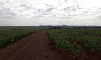 Imagem 5: Oprtunidade em palotina pr