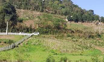 Imagem 3: Chacara /sitio iomere/videira