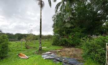Imagem 7: Fazenda/Sítio/Chácara para venda possui 15000 metros quadrados com 3 quartos