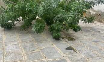 Imagem 4: Casa no Cruzeiro