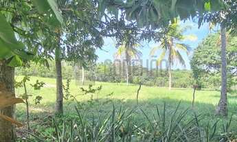 Imagem 2: Terreno em São Cristovão