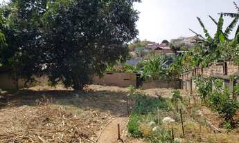 Imagem 7: Lote com 1000m? na Av.Vilarinho