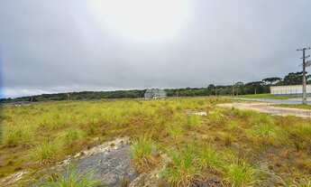 Imagem 6: Área a venda com 10.302 metros quadrados