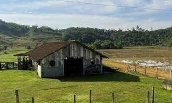 Imagem 4: Chacara Espetacular em Guaramirim