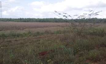 Imagem 7: Fazenda em Periz de Baixo, Bacabeira MA