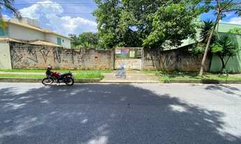 Imagem 3: Llote no Bandeirantes