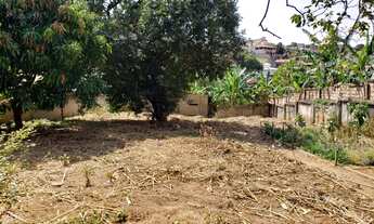 Imagem 3: Lote com 1000m? na Av.Vilarinho