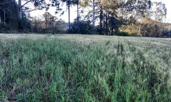 Imagem 7: Vendo chácara de 9.600m²