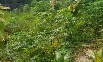 Imagem 4: Terreno Serra Grande 2