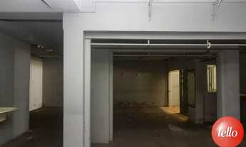 Imagem 4: Santo André - Galpão/Depósito/Armazém - Casa Branca