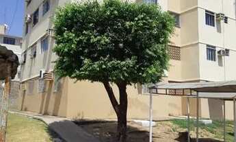 Imagem 3: Apartamento 2/4 Residencial Paiaguas ao lado centro político