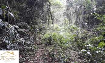 Imagem: Área de terra bairro Linha Imperial, Nova