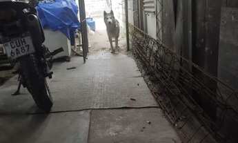 Imagem 6: Vende-se terreno