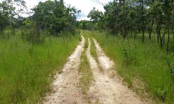 Imagem 3: Fazenda de 4.849,68 hectares Arraias-To