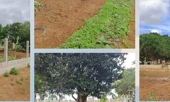 Imagem: Vende-se mini chácara