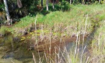 Imagem 5: Sítio, aceito propostas