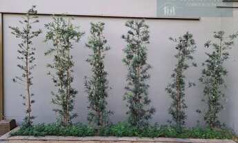 Imagem 3: FANTÁSTICO CASA NUM LOTE 480 M² - 4 QUARTOS E 5 VGS - SANTA MÔNICA-BH