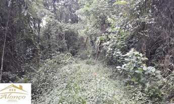 Imagem 3: Área de terra bairro Linha Imperial, Nova Petrópolis RS Ref.:884