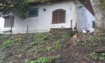 Imagem 3: Chácara para aluguel e venda tem 170 metros quadrados com 3 qts