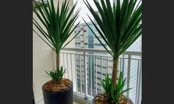 Imagem 5: Apartamento 03 Dorm. em Centro - Niterói