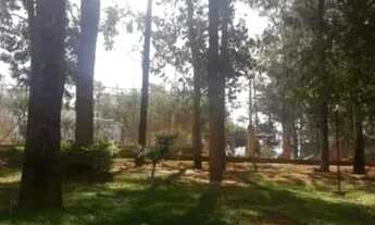 Imagem 6: Apartamento com 3 dormitórios à venda, 65 m² por R$ 255.000,00 - Vila Padre Manoel de Nóbr