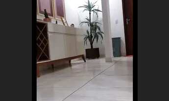 Imagem 2: Apartamento 2 quartos Vicente Pires