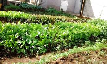 Imagem 5: Chácara - Jardinopolis - Centro