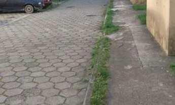 Imagem 2: Apartamento Apartamento com 2 dormitórios