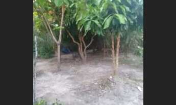 Imagem 4: Vende-se sítio em Alcântara MA