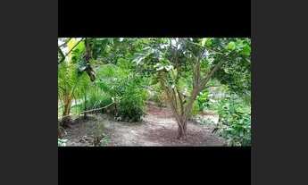 Imagem 3: Vende-se sítio em Alcântara MA