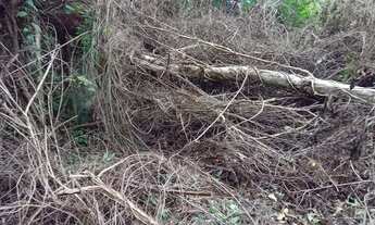 Imagem 5: Fazenda/Sítio/Chácara para venda tem 1100 metros quadrados em Guaratiba - Rio de Janeiro