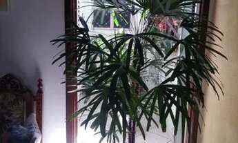 Imagem 2: Casa com 3 dormitórios à venda, 200 m² por R$ 500.000,00 - Jardim Garcez - Taubaté/SP