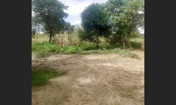 Imagem 3: Vende-se Sítio em Mataraca