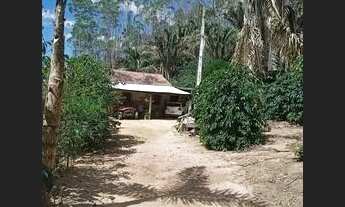 Imagem 8: Vendo Terreno Em Brejetuba