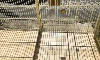 Imagem: Aluga se Apartamento sem condomínio