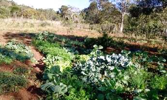 Imagem 3: Sítio com casa nova água e luz estalado a 5km de Senador Modestino Gonçalves