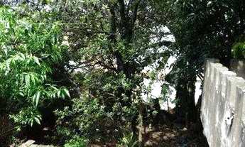 Imagem 6: Santo André - Casa Padrão - Jardim Bela Vista