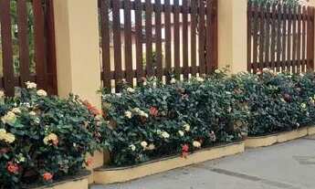 Imagem 7: Excelente Chácara a venda no Estância São Judas KM 51 da BR153 escriturada