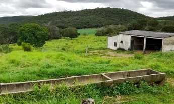 Imagem 5: Fazenda de 135 alqueires em Alto Paraiso-GO