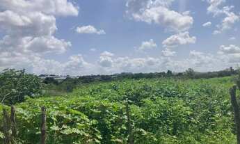 Imagem: Terreno em Itabaiana - Povoado Dedenzeiro