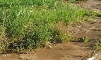 Imagem: Área comercial (1.260m²), na av Holambra