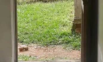 Imagem: 2 peças com banheiro valor 400 reais