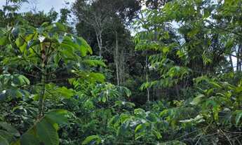 Imagem 3: Terreno em Iranduba a 20 min da ponte Rio Negro