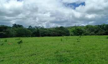 Imagem 3: Fazenda 81 alq. na região de Água Fria só R$ 8.000.000