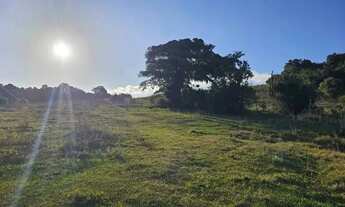 Imagem: Velleda oferece 5 mil DE ENTRADA - Lindos