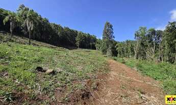 Imagem 5: Sítio / Chácara para Venda em Nova Petrópolis, São Jacó
