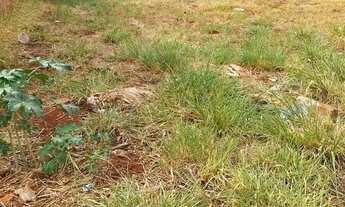 Imagem 2: Loteamento à venda no bairro Residencial São Bernardo II - Trindade/GO